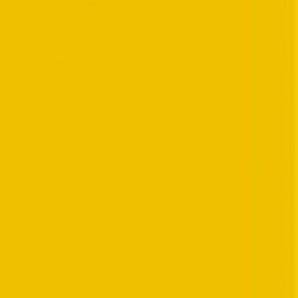 Avery 504 Primrose Yellow
