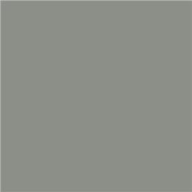 Oracal 551 755 Platinium Grey-291